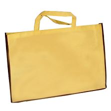 Non woven   Bags